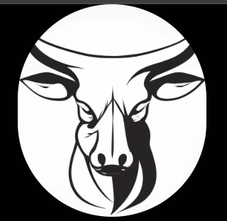 NaNdi OpticS